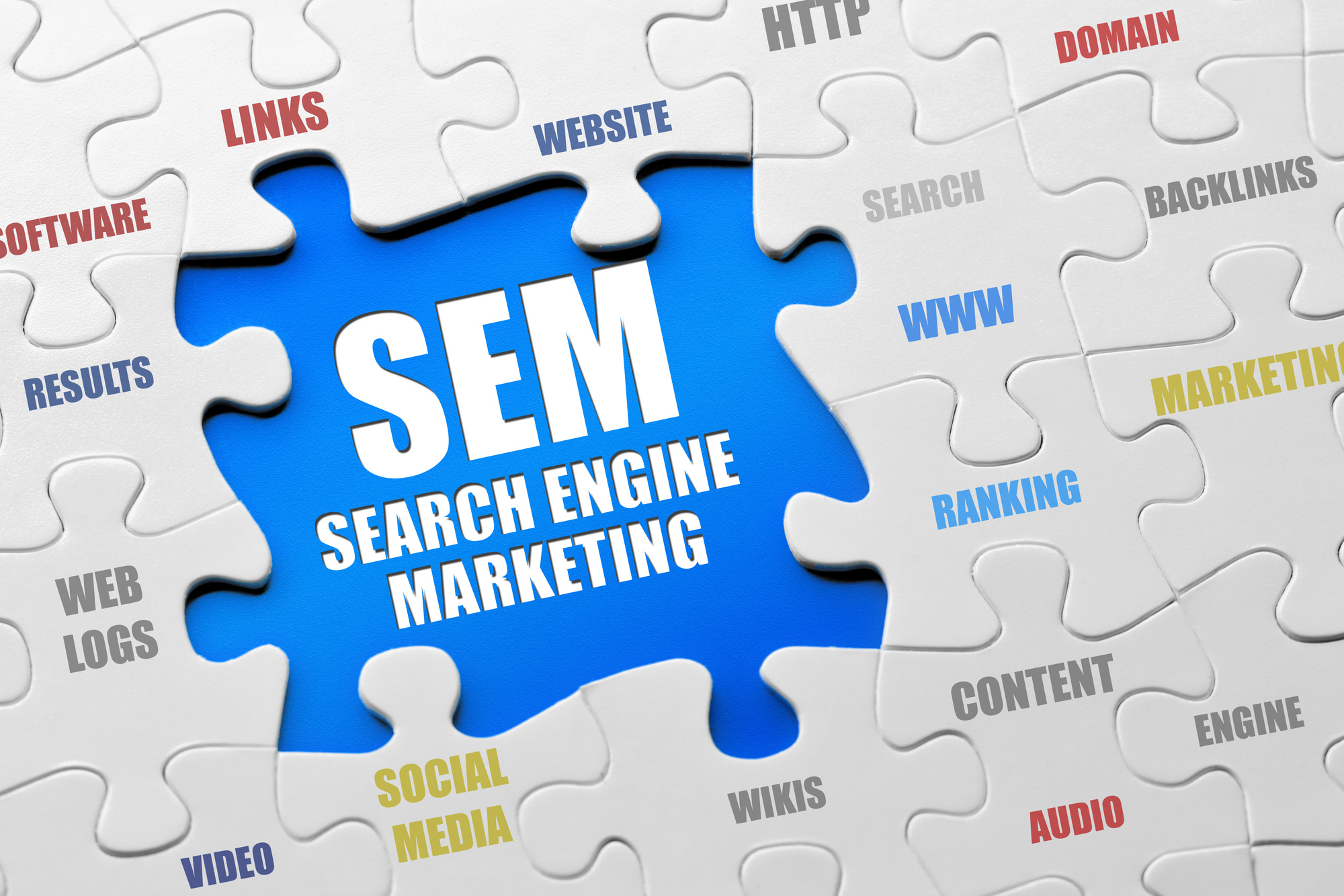 seo and sem case study